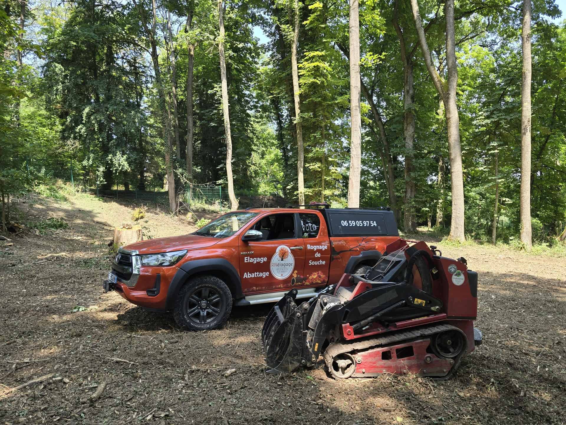 Camion d'intervention et matériel pour l'entretien et l'élagage d'arbre à Lyon